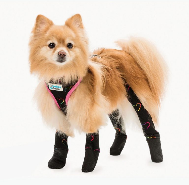 Walkee Paws Update after 3 Million Shark Tank Valuation » Pinoy Money Talk